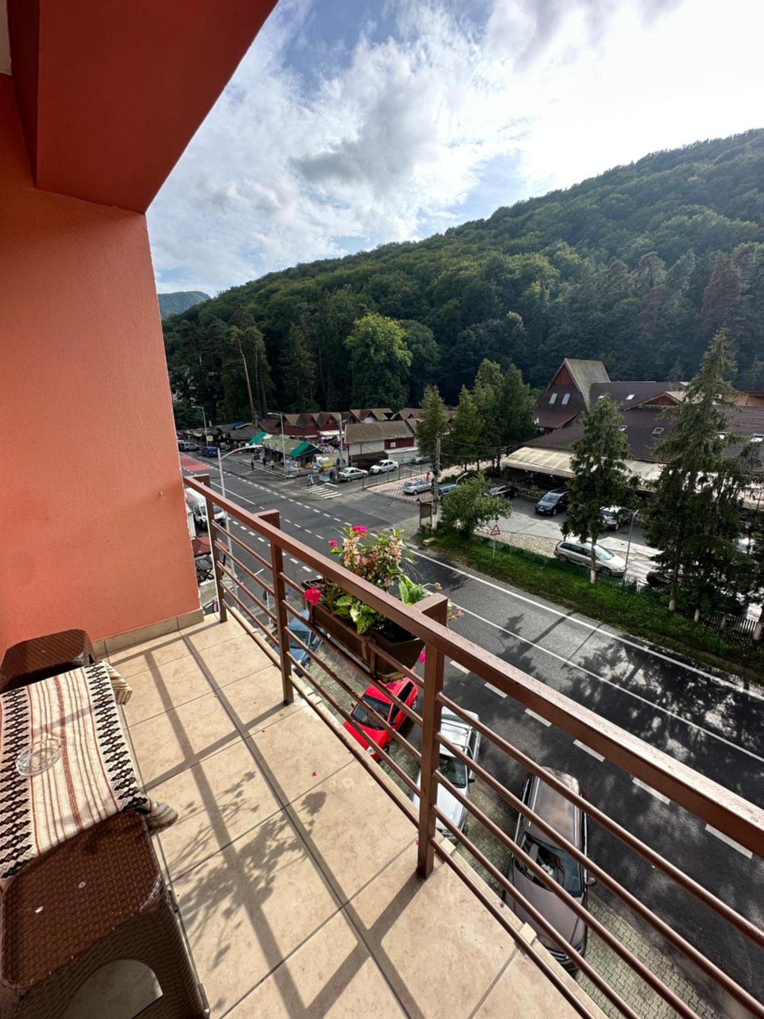 Vila Trandafirul Si Liliacul Otel Căciulata Dış mekan fotoğraf